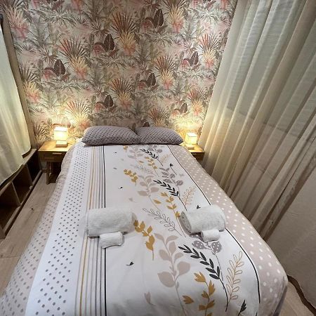 Appartement De Luxe En R/C Idealment Place En Hyper Centre Lourdes Kültér fotó